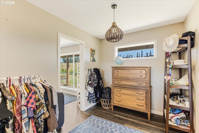 interior space with dark hardwood / wood-style floors