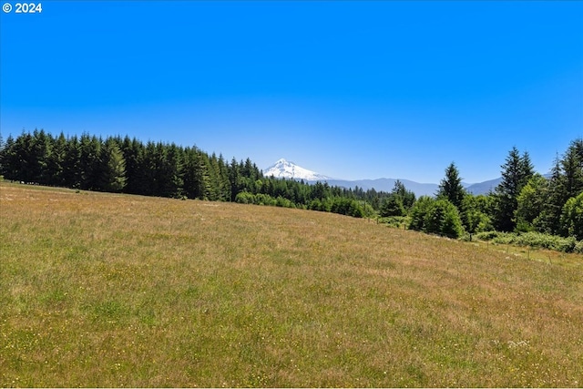 view of local wilderness with a mountain view