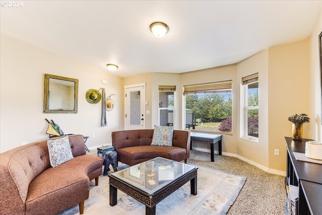 living room featuring light colored carpet