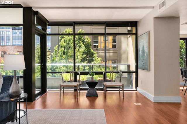 interior space with plenty of natural light, expansive windows, and wood-type flooring