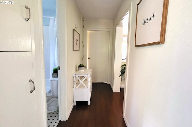 1400 W 40th St, Eugene, OR 97405 - corridor with dark wood finished floors and baseboards