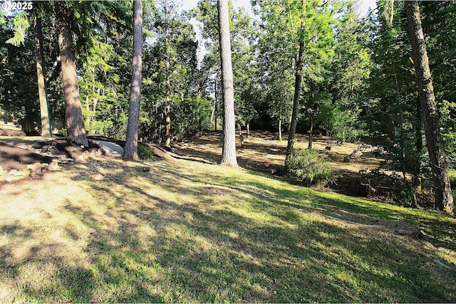 1400 W 40th St, Eugene, OR 97405 - view of green lawn