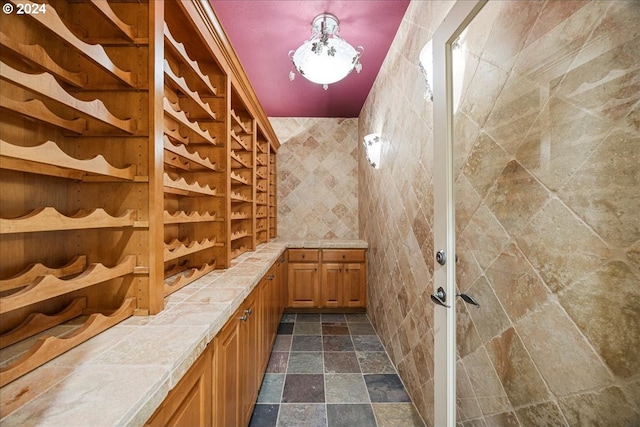 wine room with tile walls