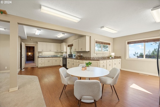 dining space featuring hardwood / wood-style floors, a textured ceiling, and sink