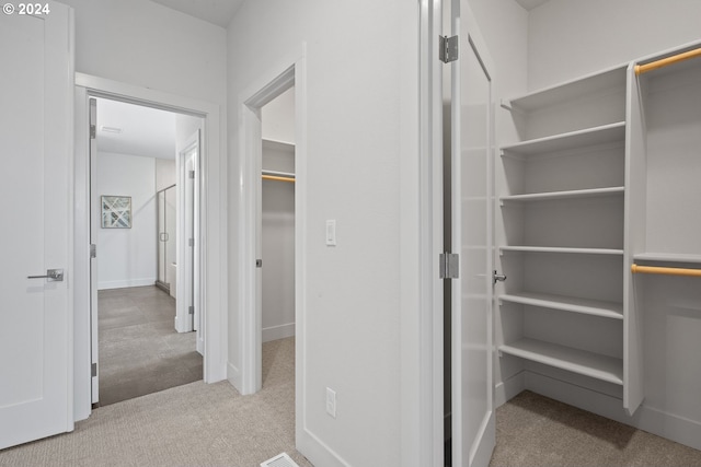 spacious closet with carpet floors