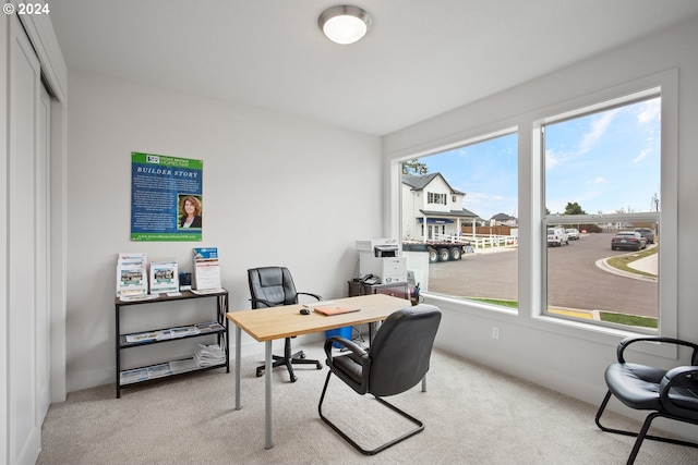 home office featuring light carpet and a healthy amount of sunlight