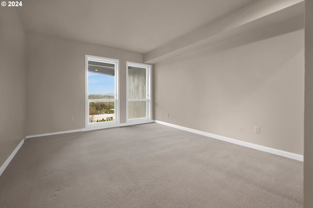 unfurnished room featuring carpet flooring