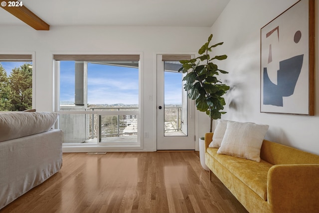 sitting room featuring hardwood / wood-style flooring and plenty of natural light