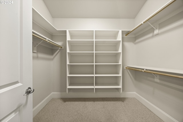 walk in closet featuring carpet