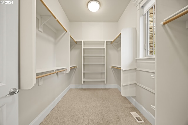 walk in closet featuring carpet