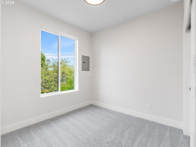 empty room featuring electric panel, a healthy amount of sunlight, and carpet flooring