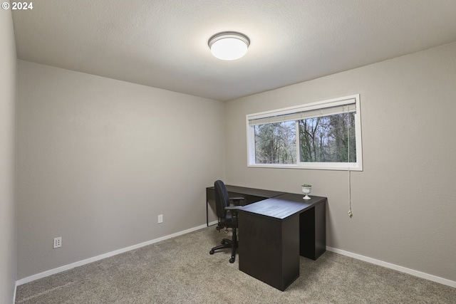 carpeted office with a textured ceiling