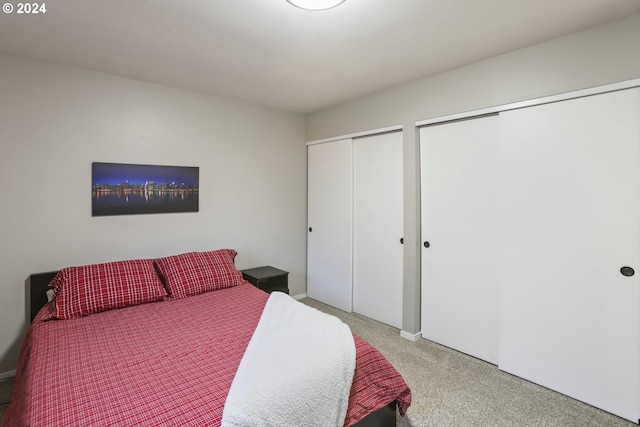 carpeted bedroom with two closets