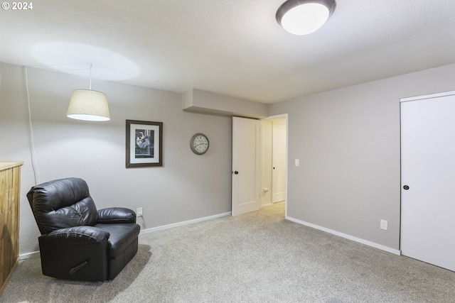 living area featuring carpet flooring