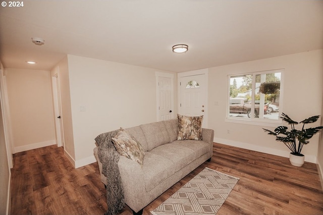 living room featuring wood-type flooring