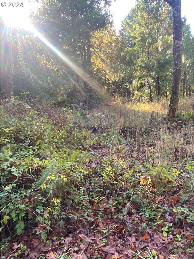 Pierson Rd, Coos Bay, OR 97420