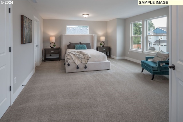 view of carpeted bedroom