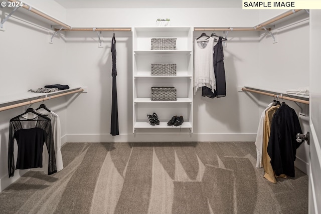 spacious closet with carpet flooring