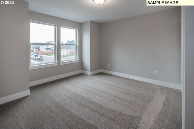 spare room featuring carpet flooring