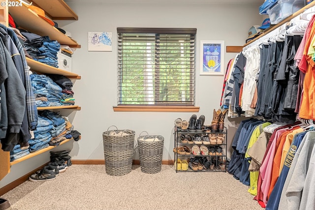 spacious closet featuring carpet