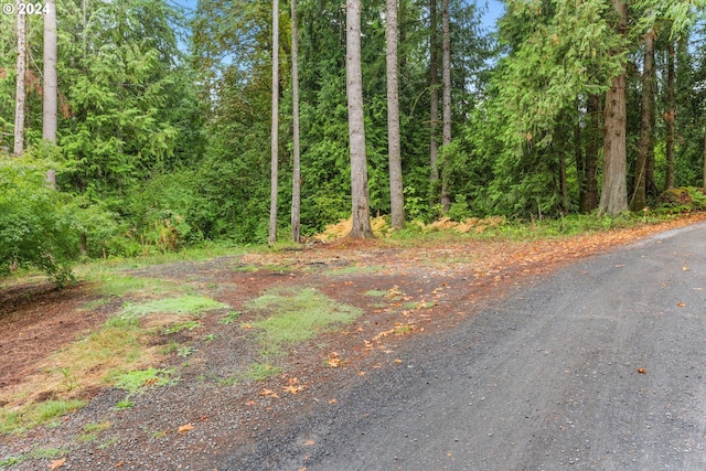 view of road