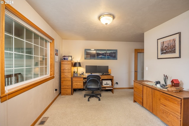 office area with light carpet