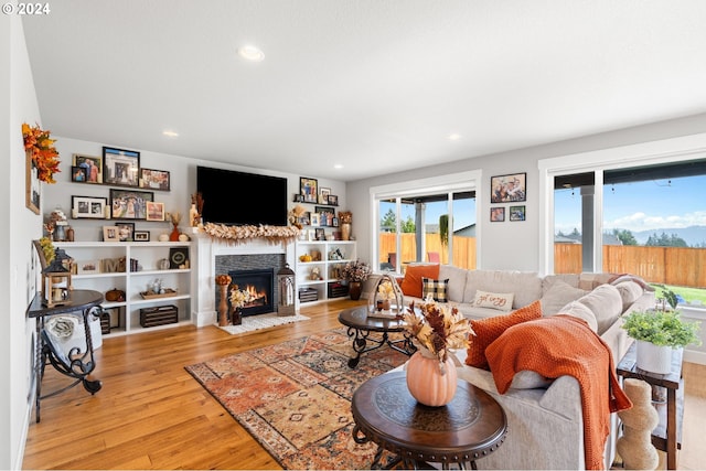 living room featuring light hardwood / wood-style floors