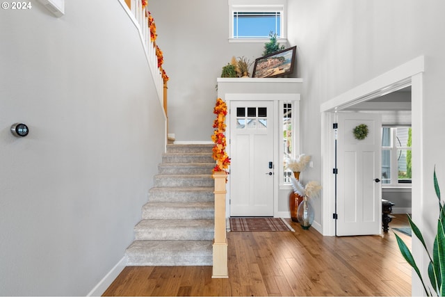 entryway with hardwood / wood-style flooring and plenty of natural light