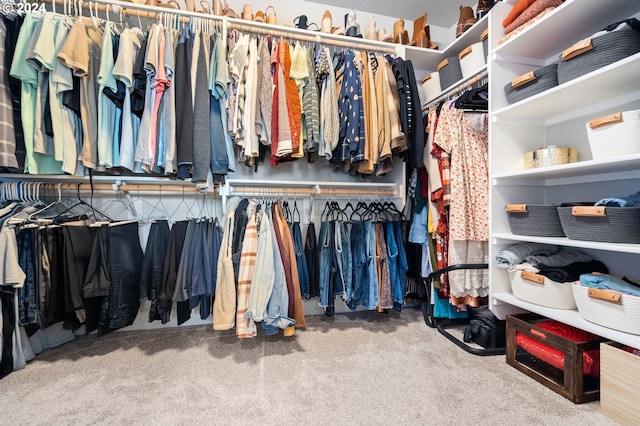 walk in closet featuring carpet floors