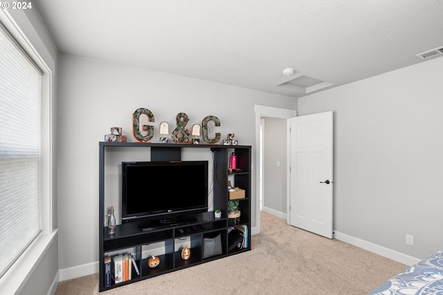 carpeted bedroom with multiple windows