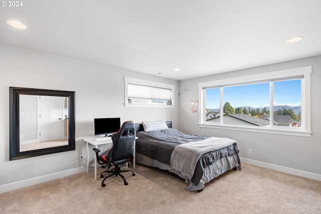 bedroom with light colored carpet