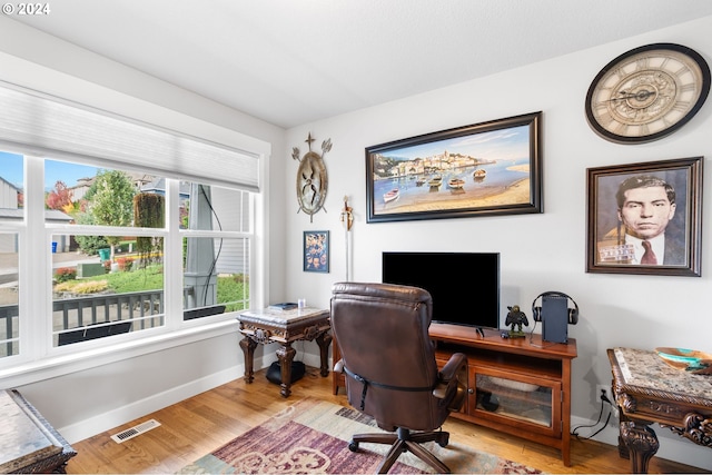 office space featuring light hardwood / wood-style flooring