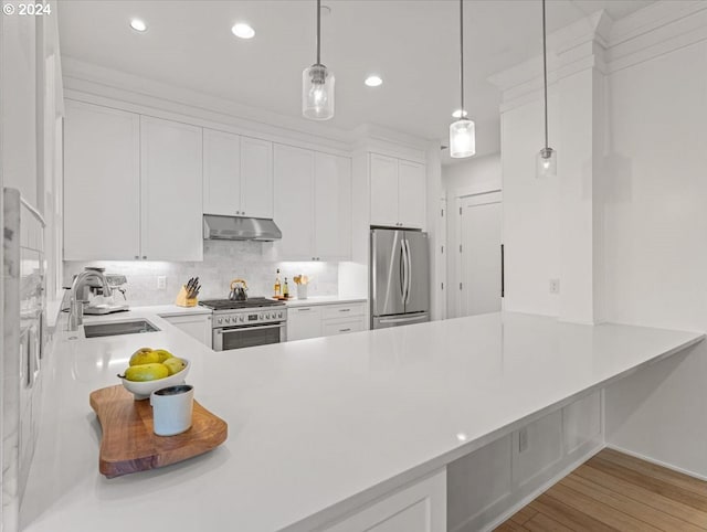 kitchen featuring decorative backsplash, appliances with stainless steel finishes, a peninsula, under cabinet range hood, and a sink