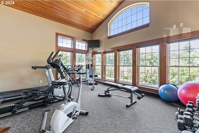 workout area featuring wood ceiling, high vaulted ceiling, and carpet floors