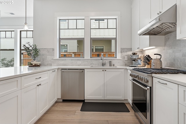 kitchen with white cabinets, under cabinet range hood, light wood-style floors, appliances with stainless steel finishes, and a sink
