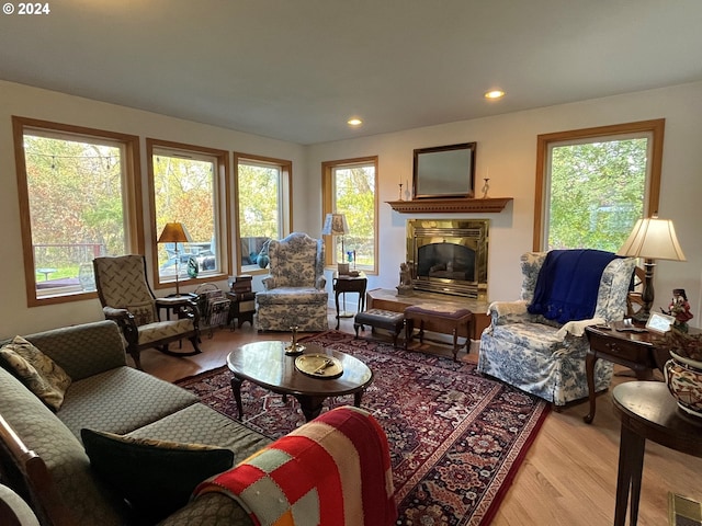 living room with light hardwood / wood-style floors