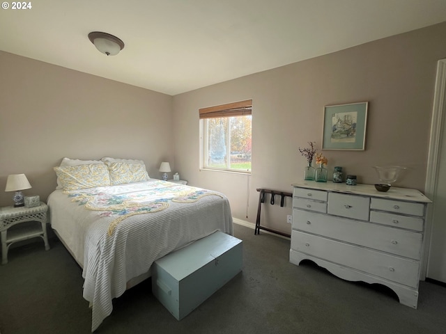 bedroom featuring dark colored carpet