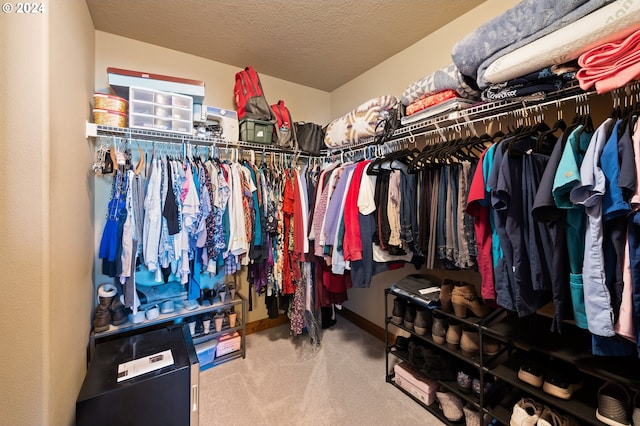 walk in closet featuring carpet