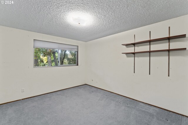 spare room featuring a textured ceiling and carpet floors