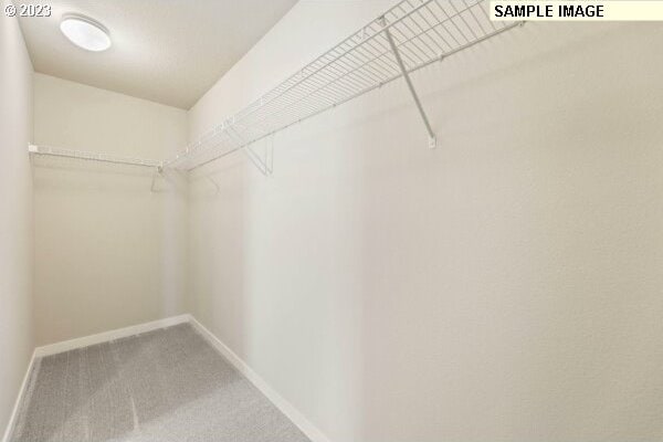 spacious closet with carpet floors