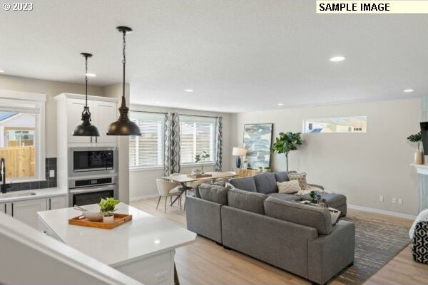 living room with sink and light hardwood / wood-style flooring