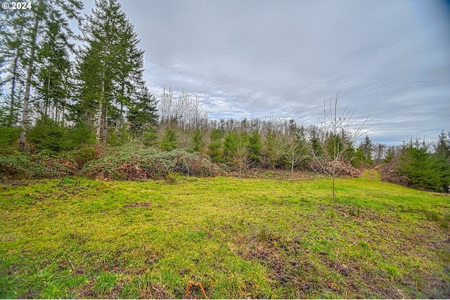 Listing photo 3 for 0 Delena Mayger, Rainier OR 97048