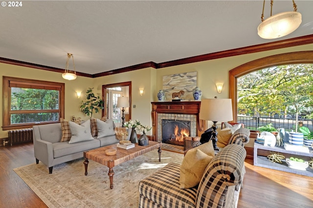 living room featuring hardwood / wood-style floors, a tiled fireplace, radiator, and plenty of natural light