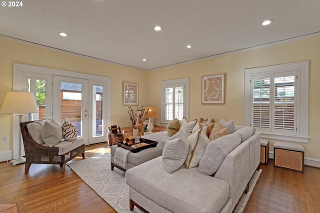 living room with dark wood-type flooring and plenty of natural light