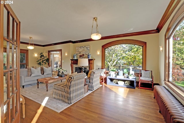 living room featuring a healthy amount of sunlight, radiator heating unit, and hardwood / wood-style floors