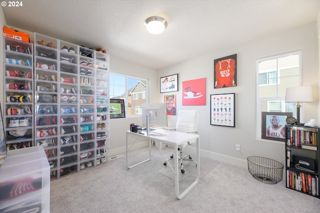 carpeted office space featuring a wealth of natural light and a textured ceiling