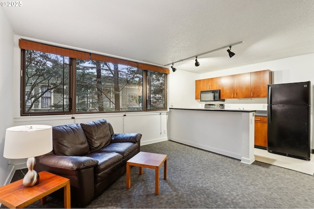 carpeted living room with a textured ceiling and track lighting