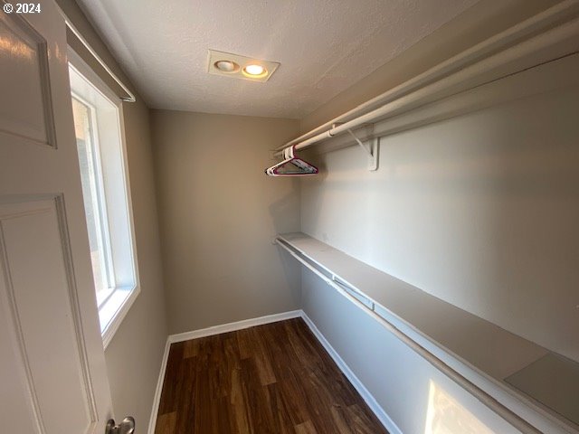 spacious closet featuring dark hardwood / wood-style flooring