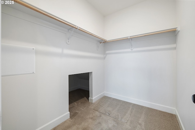 walk in closet with light carpet