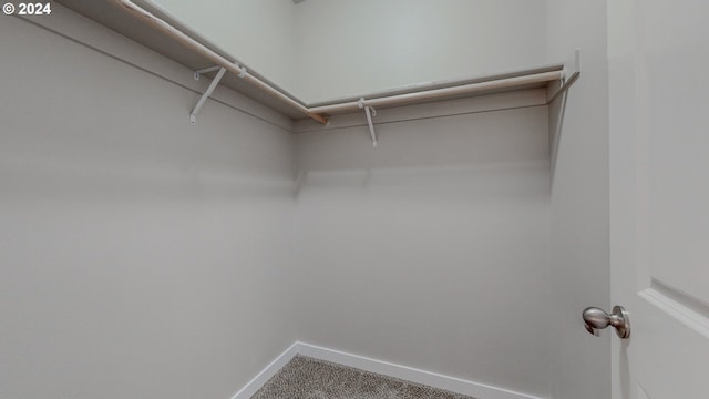 spacious closet with carpet